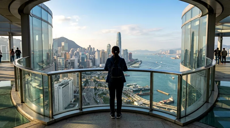 Visitor at observation deck viewing platform looking out across city skyline.