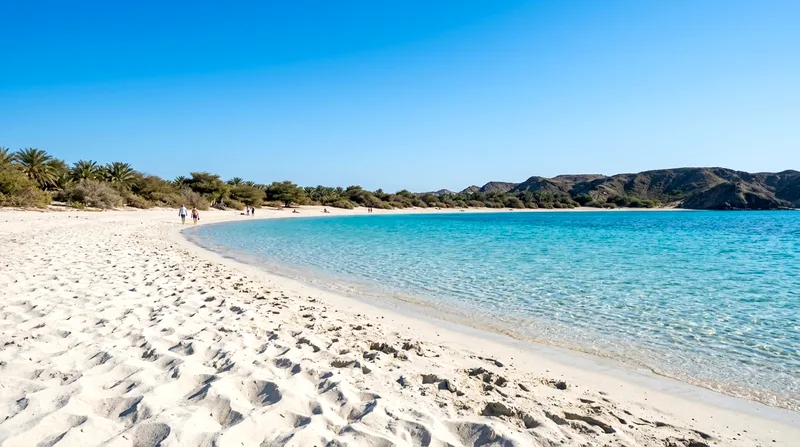 White sandy beach with turquoise water on Sir Bani Yas Island